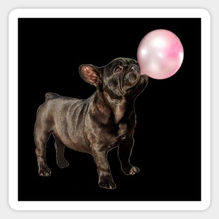 French bulldog, Frenchie 19 Sticker